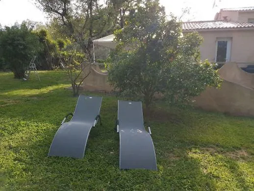 Corsica Paddock Prunelli-di-Fiumorbo