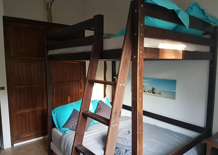 Corsica Paddock Prunelli-di-Fiumorbo