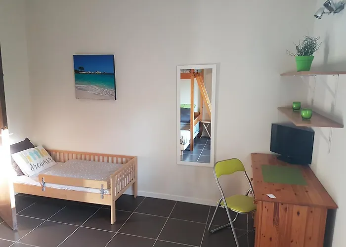 Corsica Paddock Prunelli-di-Fiumorbo